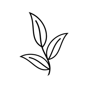 LUMANI, LLC.